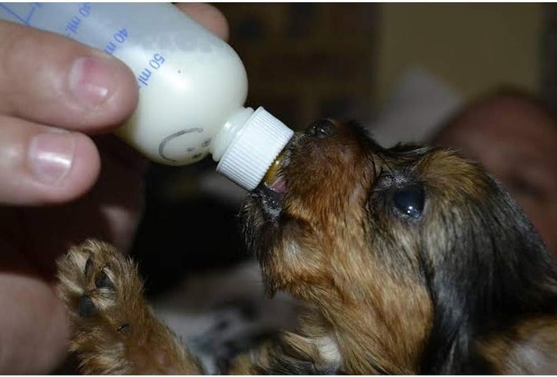 Four Paws Pet Products Nurser Bottles Counter Box 2oz (24Pc) - Image 2